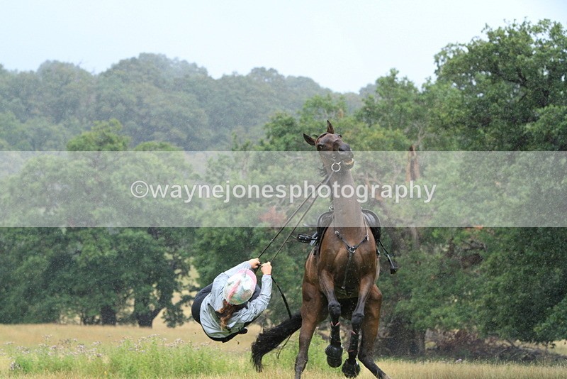 IMF_2923 - Time at Castle Jump 14:17 to 15:00