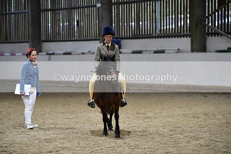WJ5_8565 - Class 14 Novice Ridden/Rider