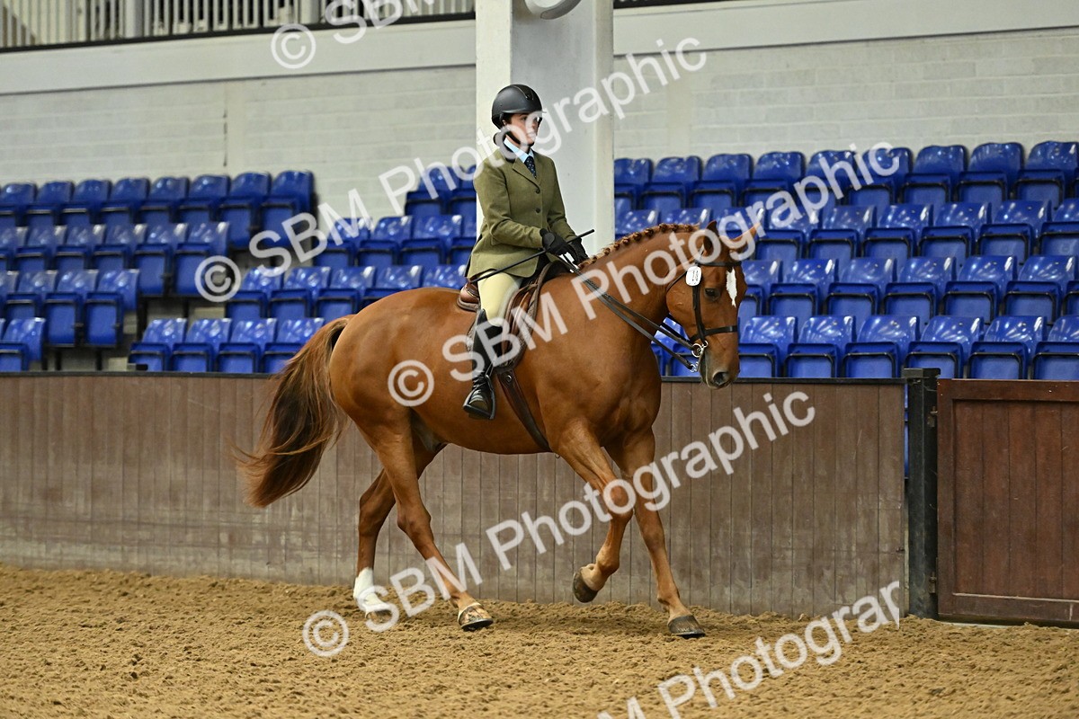 SBM_002056 - Class 23 - BSHA Ridden Show Hunter