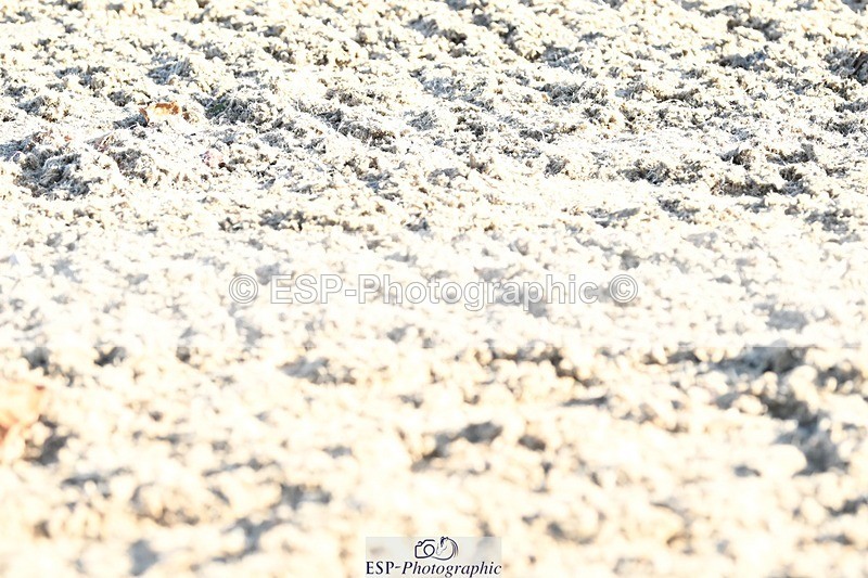 231110-133459-00997 - Cls 4 Novice 39Q