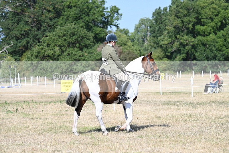 WJ7_2766 - Class 8 Ridden Tack & Turnout