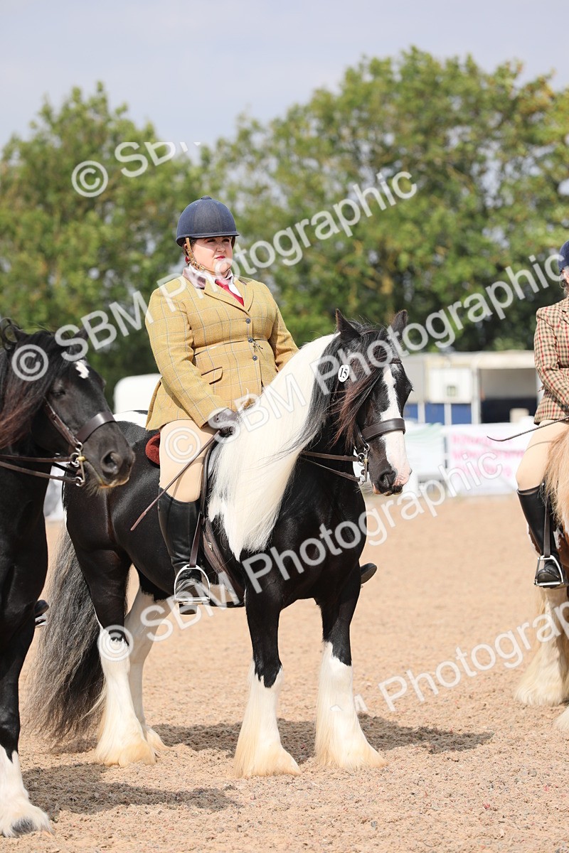 SBM_12835 - Class 307 Ridden Coloured Pony