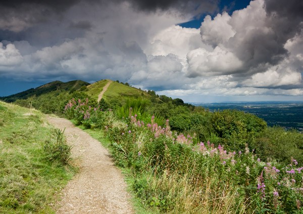 Blackhill Summer - The Malvern Hills
