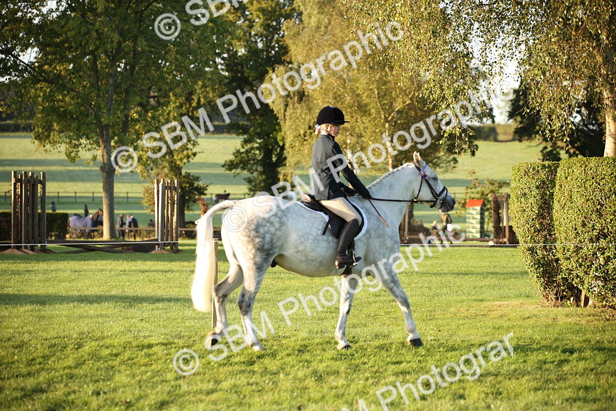 SBM_32262 - S8 - Best Turned Out