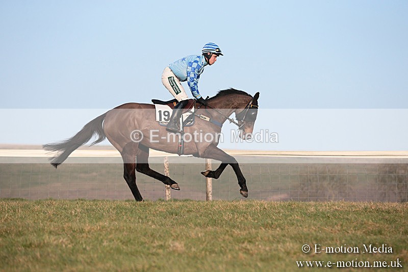 PtP 230219 592 - Vine & Craven Point-To-Point - Barbury 23/02/19