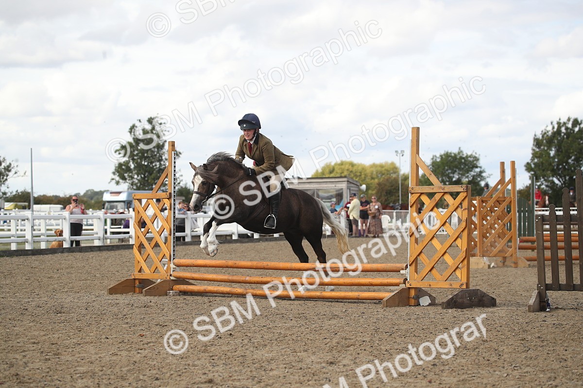 SBM_15170 - Class 505b - M&M Working Veteran - 50cm (20+)