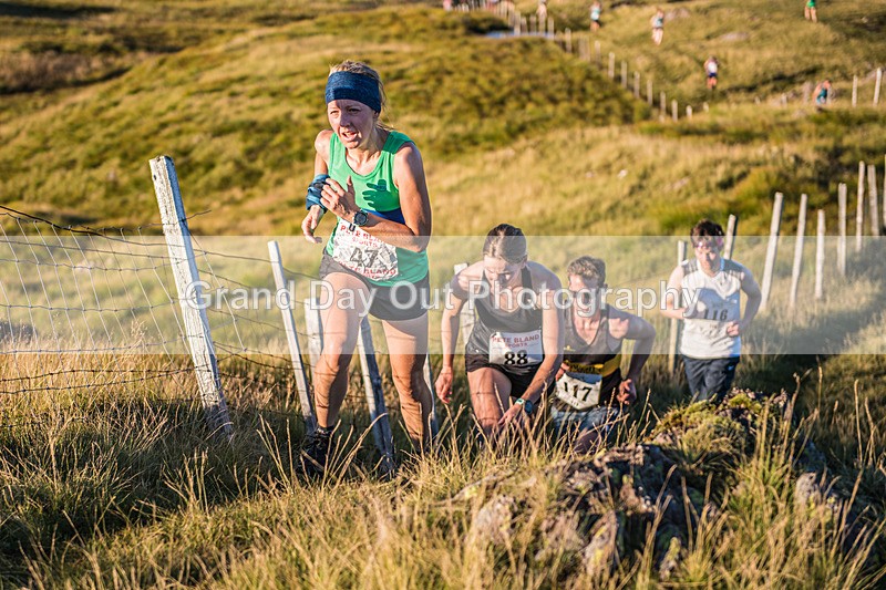Steel Fell-286 - Steel Fell Race Wednesday 10th August 2022
