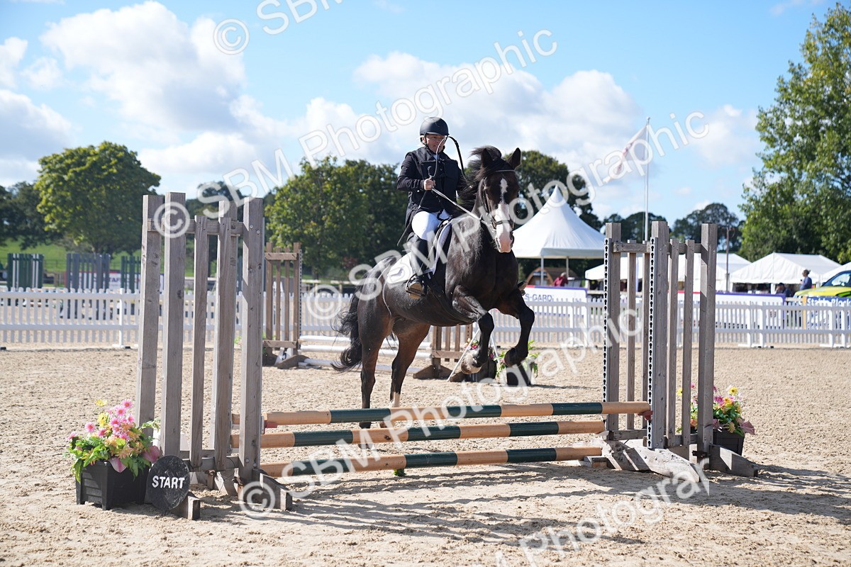 SBM_02478 - J54 Clear Round 45cm