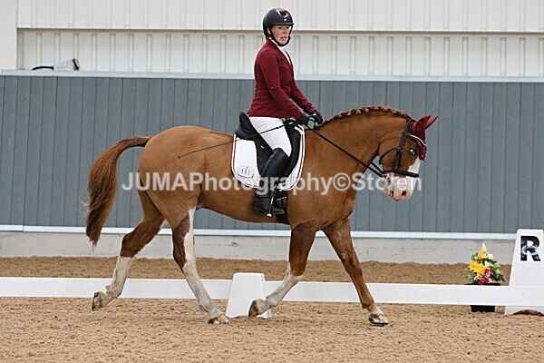 SIAL7234 - GDG Bogenraith Friday 26th Sept 2025