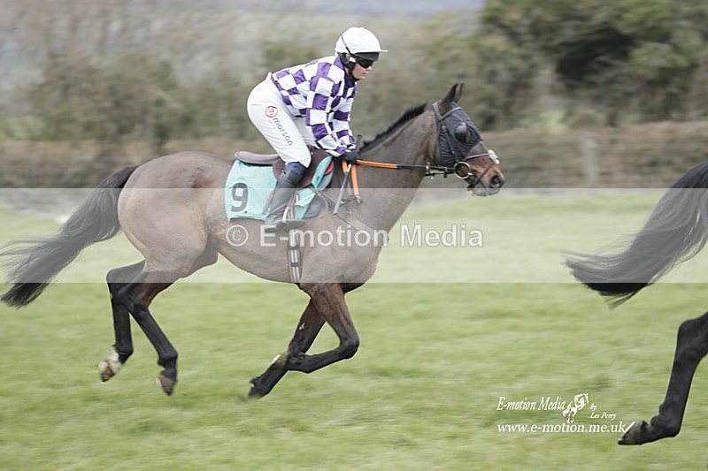 PtP 050323 399 - Blackmore & Sparkford Vale Hunt PtP - Somerset 05/03/23