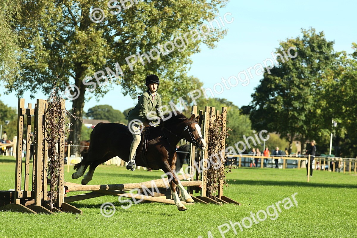 SBM_37457 - S29 - Novice & Newcomers Working Hunter Pony