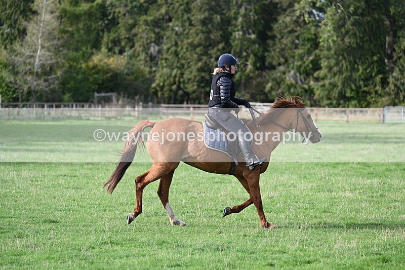 WJ7_1119 - Time 14:27 to 15:11