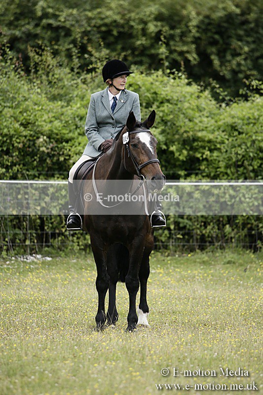 BVR160717-1361 - Ring 1 BVRC Show 16/07/17