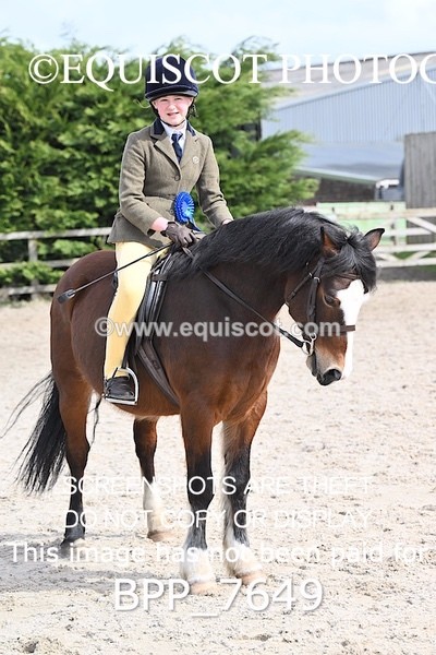 BPP_7649 - RING 1  (RIDDEN HORSES / IN HAND / VETERAN ETC)