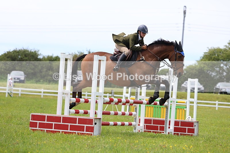 3E7A1611 - Class 13: Senior British Novice/90cm open