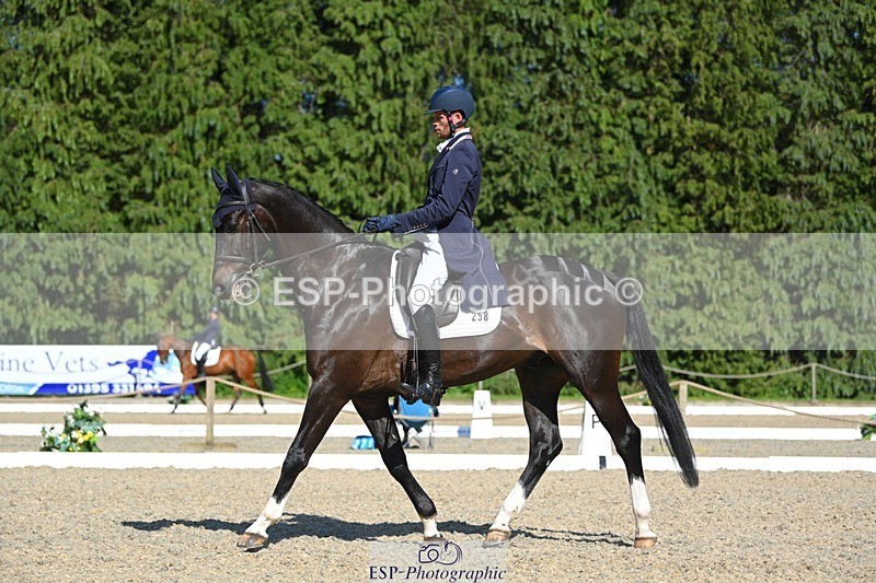 230526-165237-07420 - 258-DHI_KING_NELSON-Barnie_Brotherton-WEDTrotUp+DR
