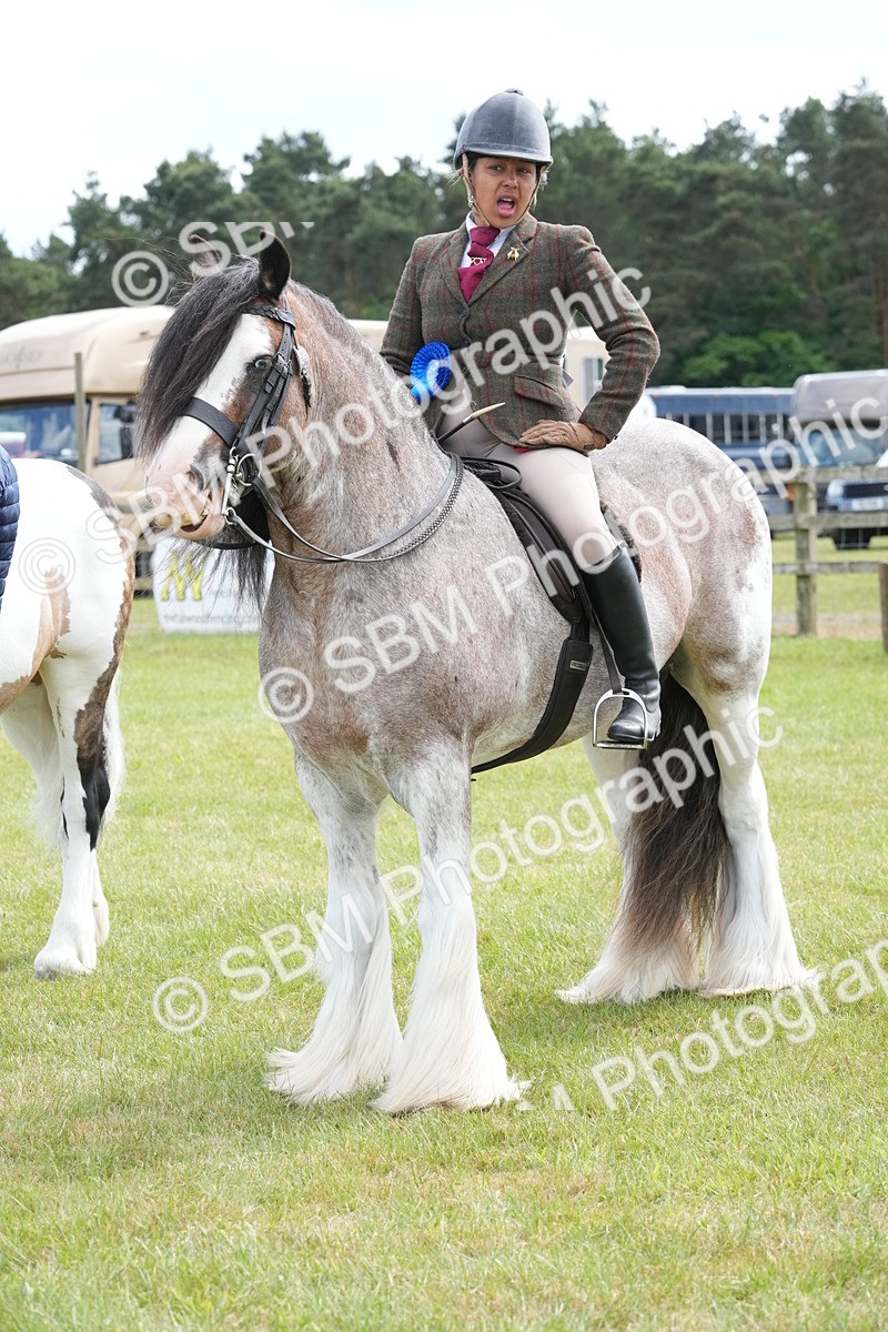 SBM_17325 - Class 107-108 - LIHS BSPS Performance Coloured Horse Pony