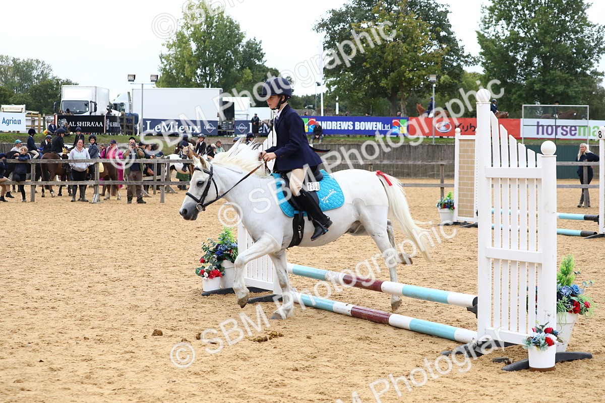 SBM_68145 - J3b - Mini Tour Junior Pony 40cm Championship