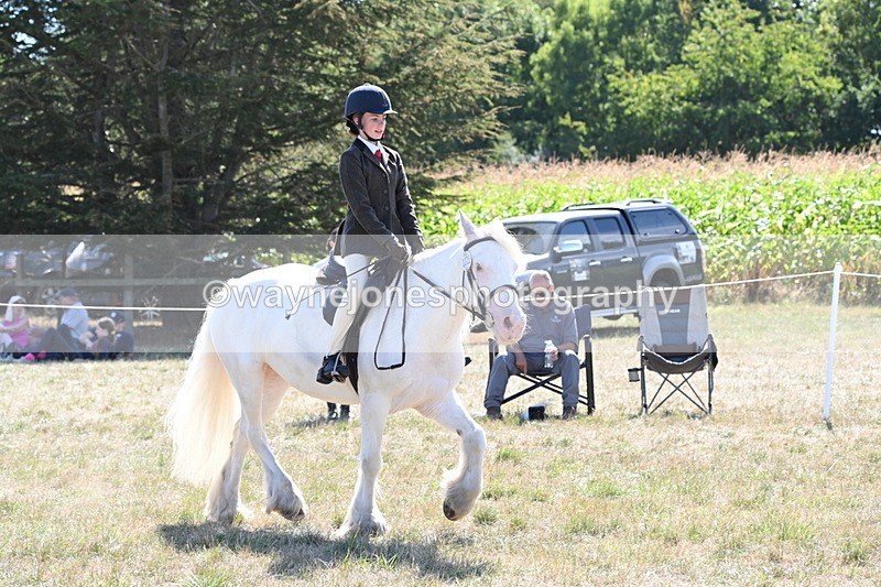 WJ6_8979 - Class 38 Ridden Riding Horse/Pony