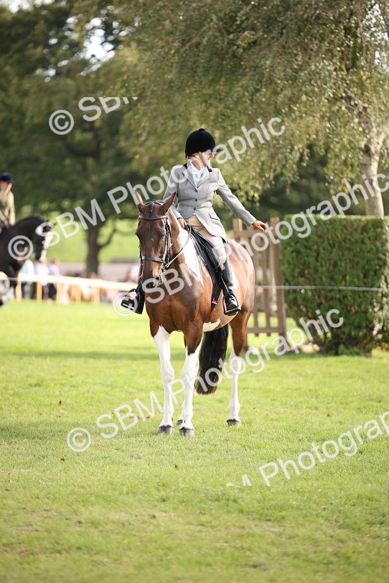 SBM_50204 - S26 - Young Veteran - Ridden