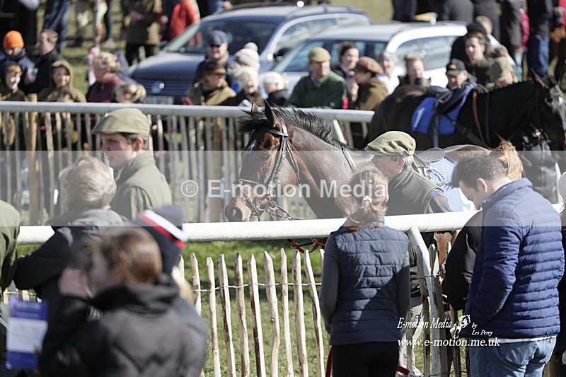 PtP 100423 820 - Old Berkshire Point-to-Point Lockinge 10/04/23