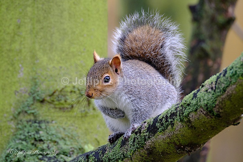  - Wildlife and Nature