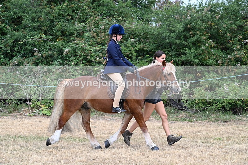 WJ7_0254 - Class 2 Best rider
