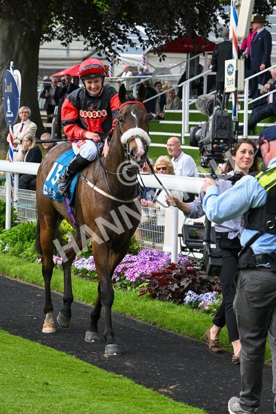 150524-Race 5-Diligent Resdev-4471 - Race 5 4.15pm Conundrum HR Consulting Handicap