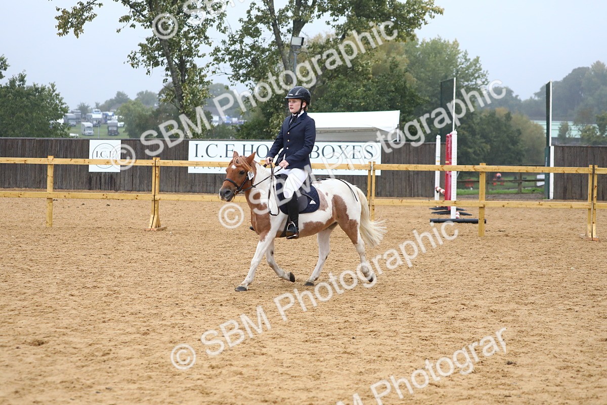 SBM_71774 - J4 - Mini Tour Junior Pony 45cm Championship