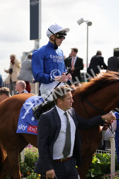 yr18082021r3-41 - Race 3 3.00pm Sky Bet Great Voltigeur Stakes