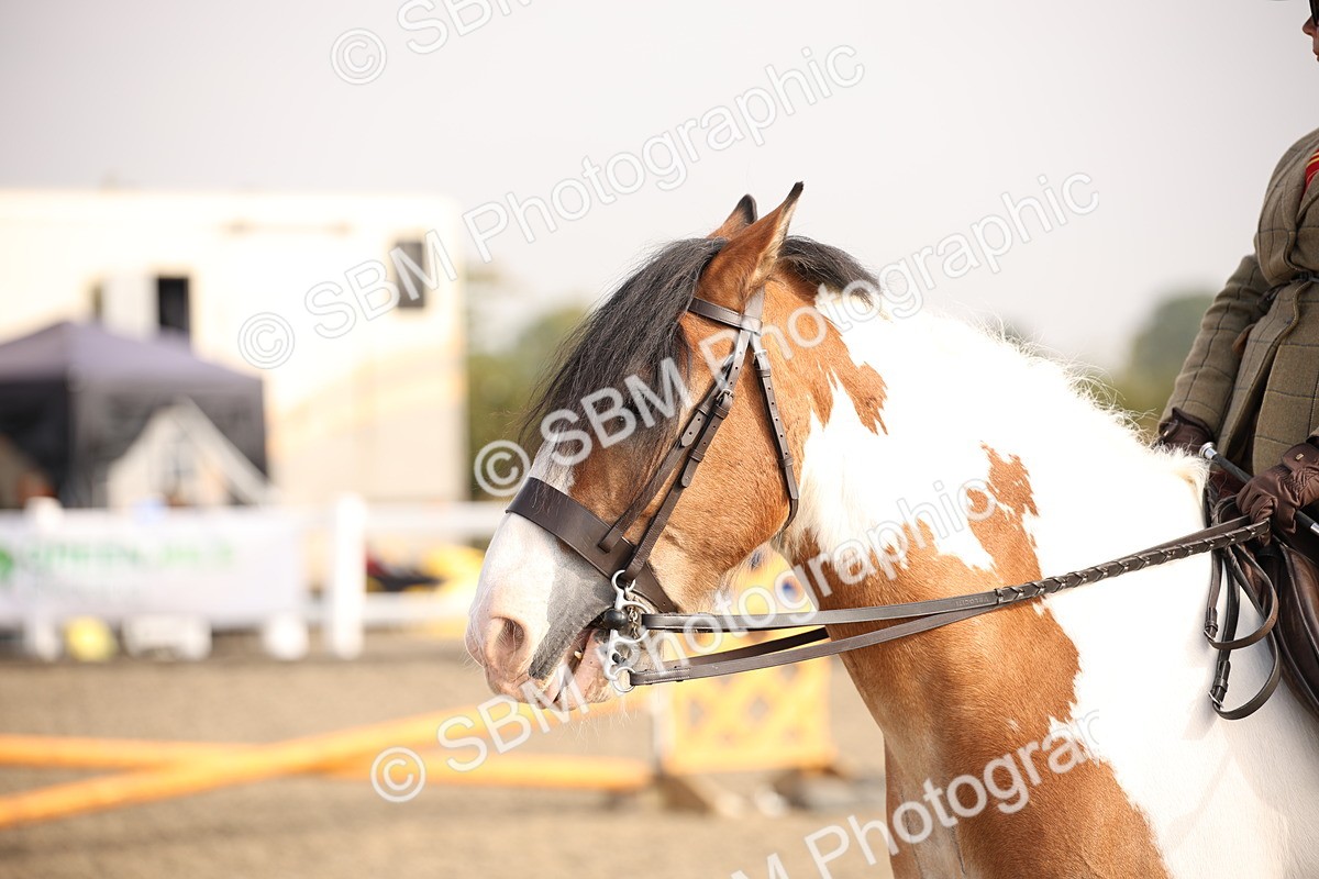 SBM_10262 - Class 402 Riding Club Horse