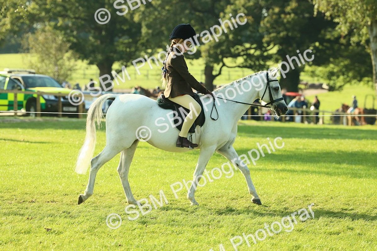 SBM_59131 - S38 - Starters Ridden Showing