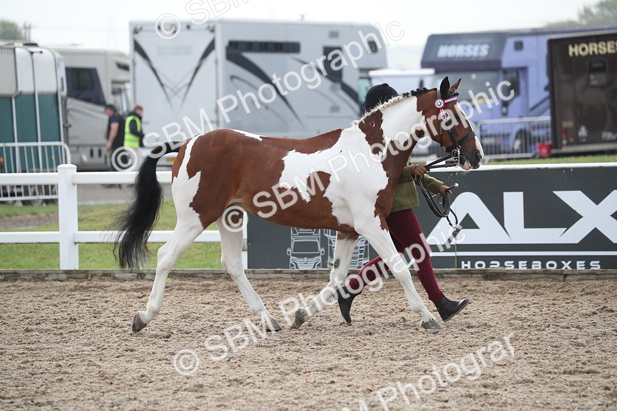 SBM_23101 - Class 605 - 2025 Area - IH Veteran