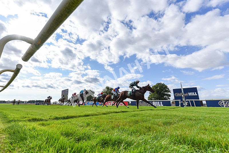 020825-Race 7-Koji-8262 - Race 7