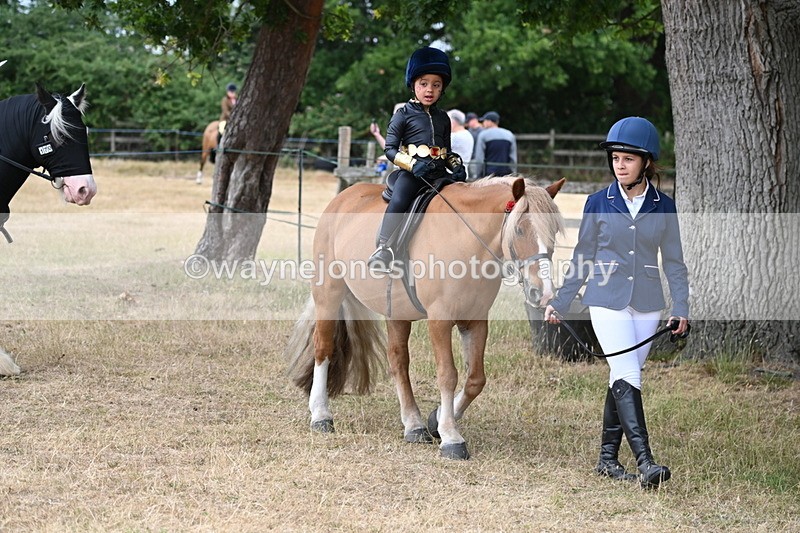 WJ6_8884 - Class 11 Fancy Dress