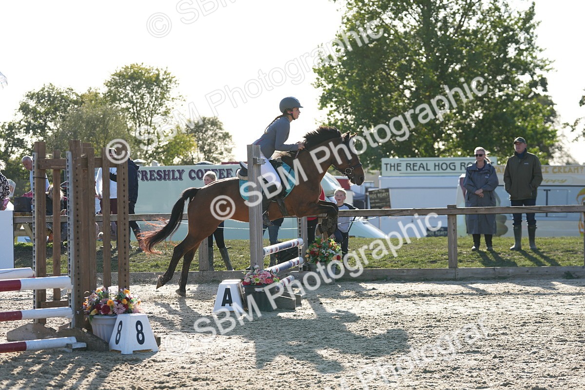 SBM_53701 - J8 - Junior Pony 65cm Championship