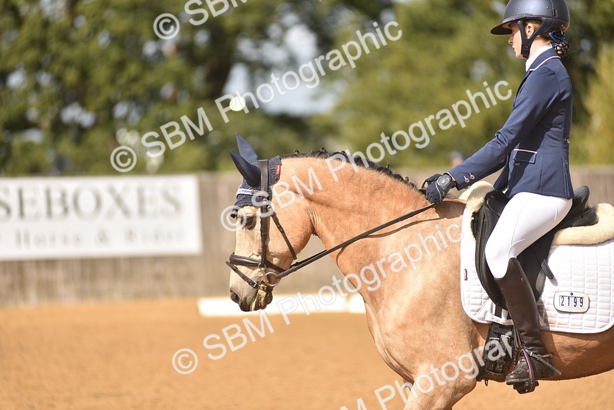 SBM_42303 - D22 - Junior Championship Intro 3