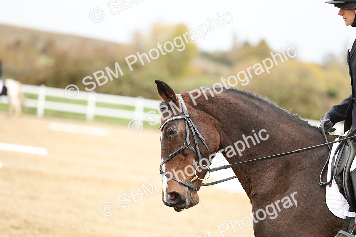 SBM_002994 - Class 8 - Novice 1