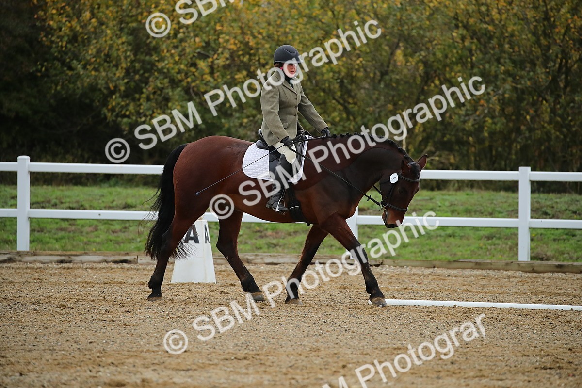 SBM_000391 - Intro 2