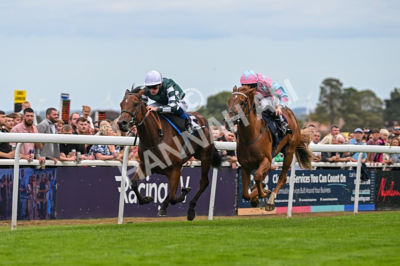 300825-Race 3-Secret Echo-2-7 - Race 3