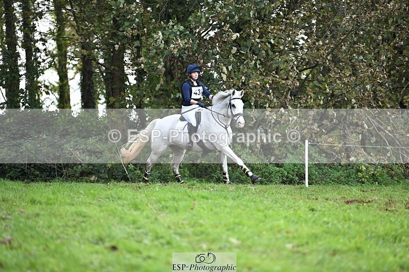 231021-133952-18095 - 437-DONBEG.GREY-Hannah.Underhill-SC+XC