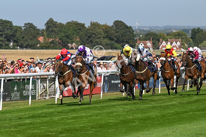 130825-Race 4-Dumfries-8510 - Race 4