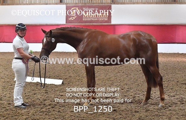 BPP_1250 - MORNING 9AM - 12PM