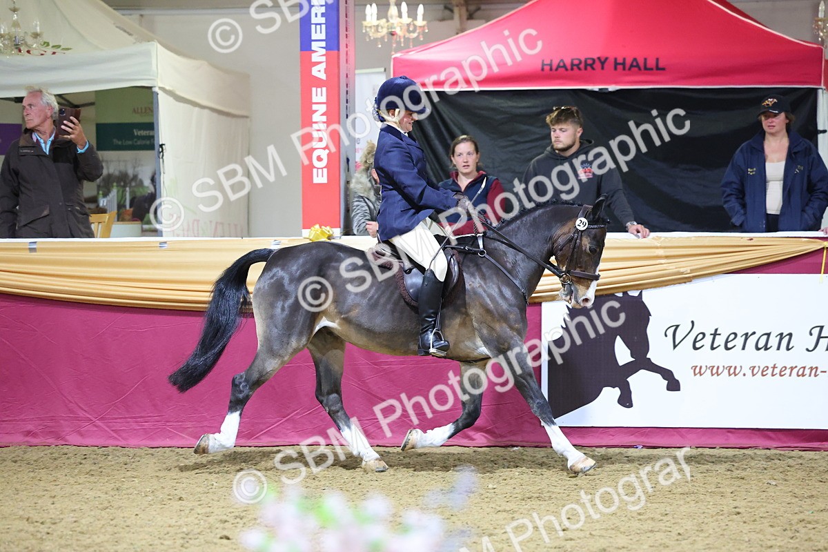 0B8A4688 - Class R Working Veteran Champ