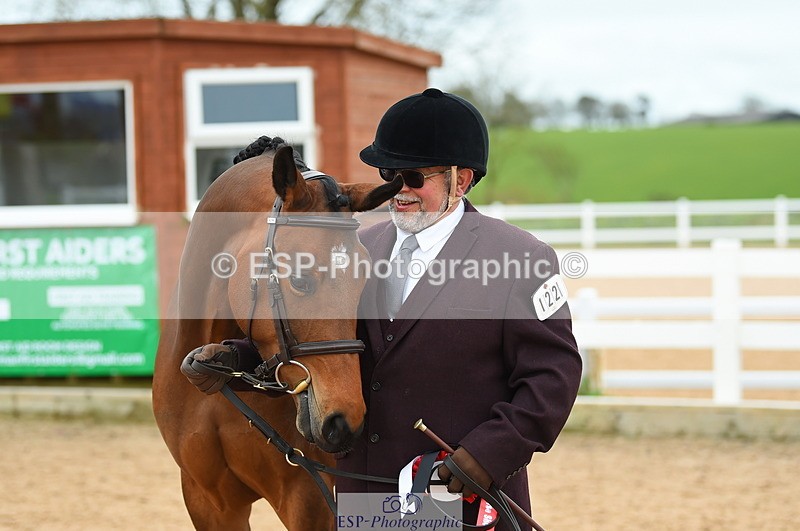 230416A-140820-04750 - Cls 46+43 In Hand Warmbloods and Foreign
