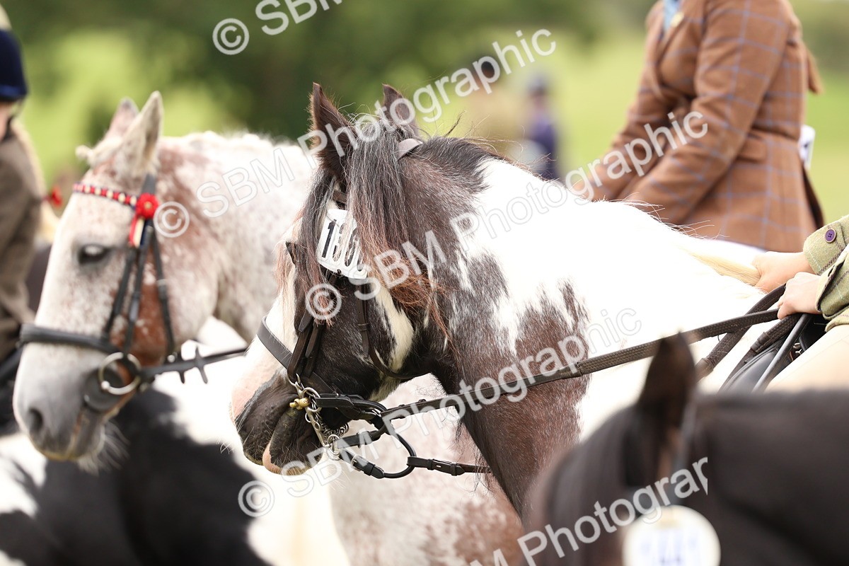 SBM_64608 - S58 - Coloured Pony Ridden