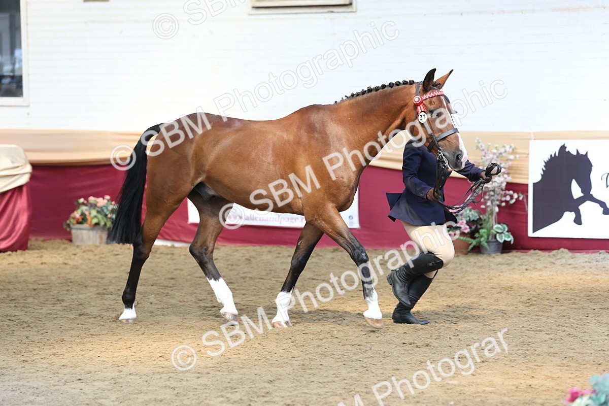 SBM_23577 - Class 904 - Supreme Final - Ridden Diamond