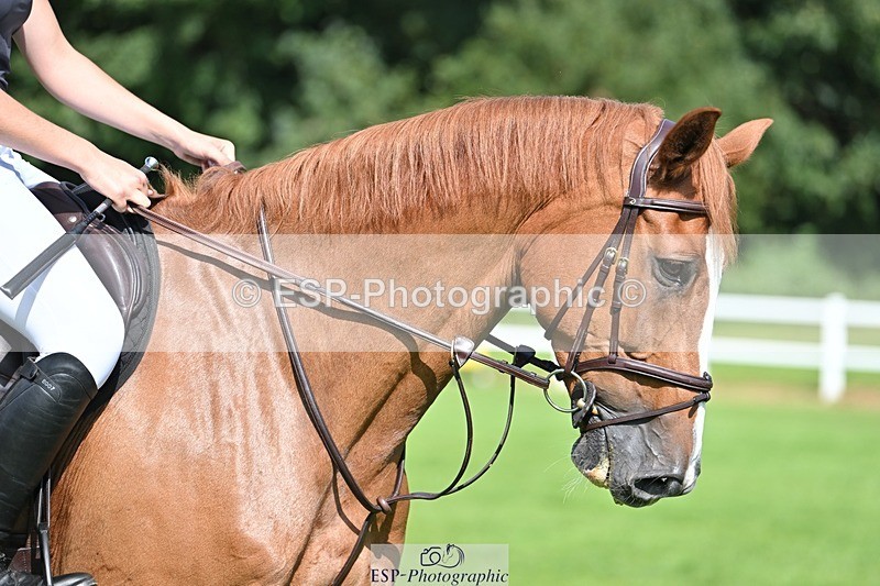 230909-120828-05390 - Cls 11 Snr Foxhunter & 1.20m Open