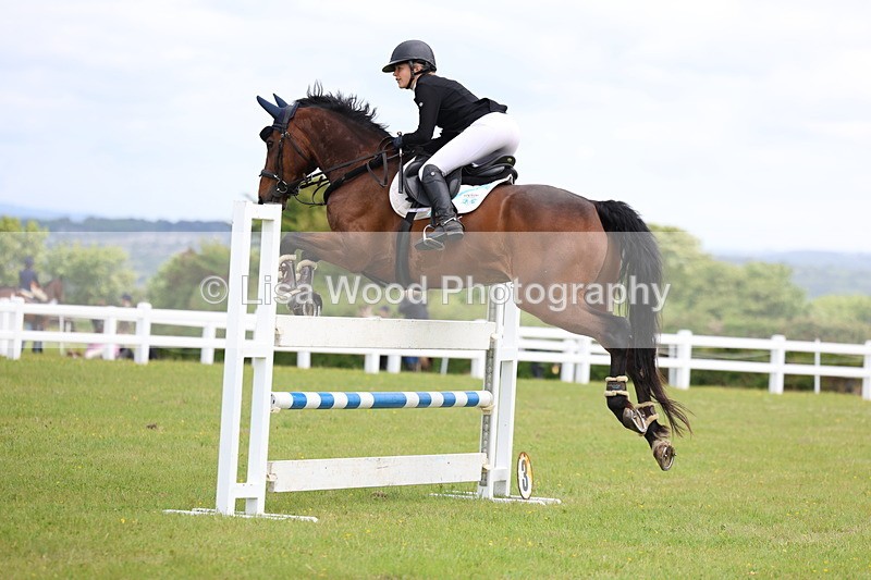 3E7A7097 - Class 12: Senior Foxhunter/1.20 open