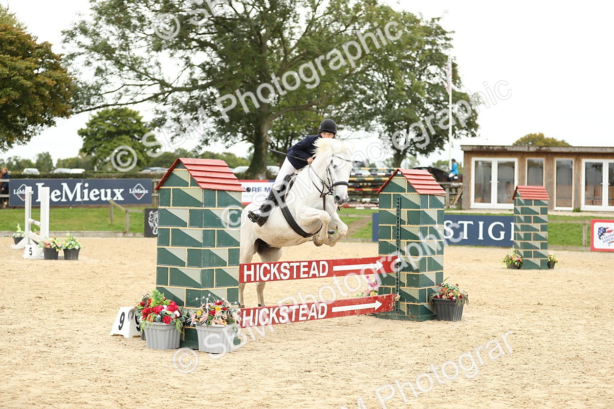 SBM_63155 - Supreme championship 75cm 80cm